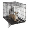 כלוב אילוף לכלב באורך 91 ס"מ דלת אחת-3075