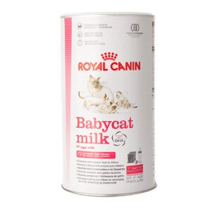 תחליף חלב לחתול רויאל קנין 300 גרם-0